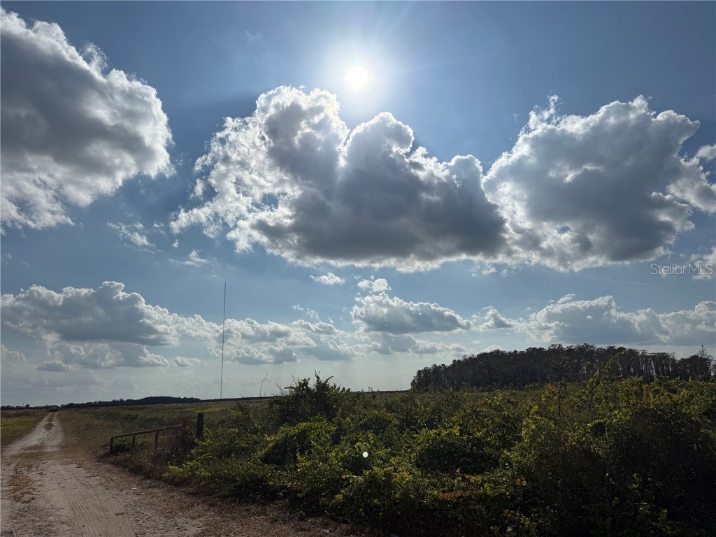 Holopaw Groves Road Saint Cloud FL 34771 O6363450 image2