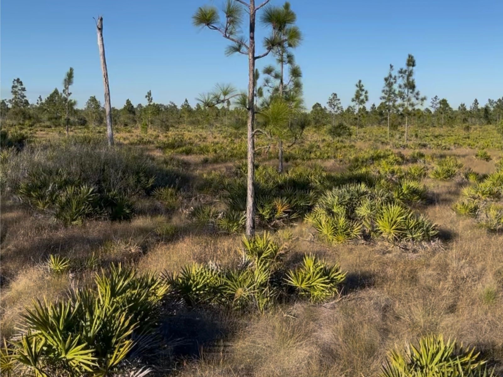 Holopaw Groves Road Saint Cloud FL 34771 O6423740 image1
