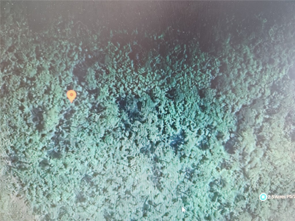 Holopaw Groves Road Saint Cloud FL 34771 S5129799 image1