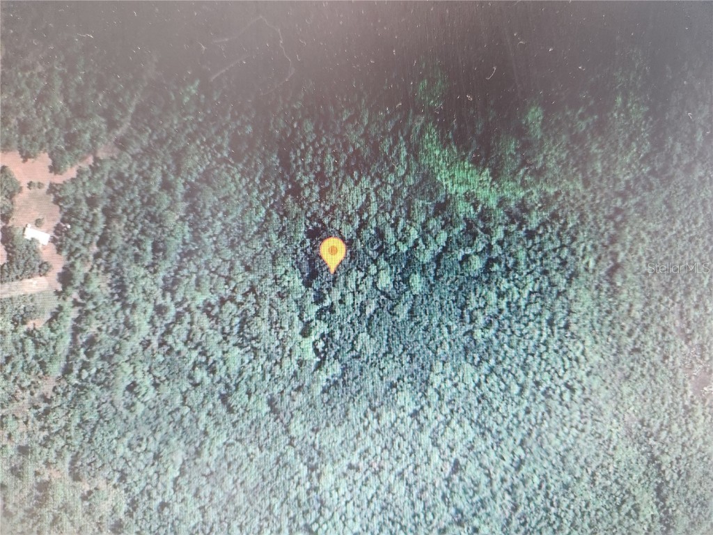 Holopaw Groves Road Saint Cloud FL 34771 S5129804 image1