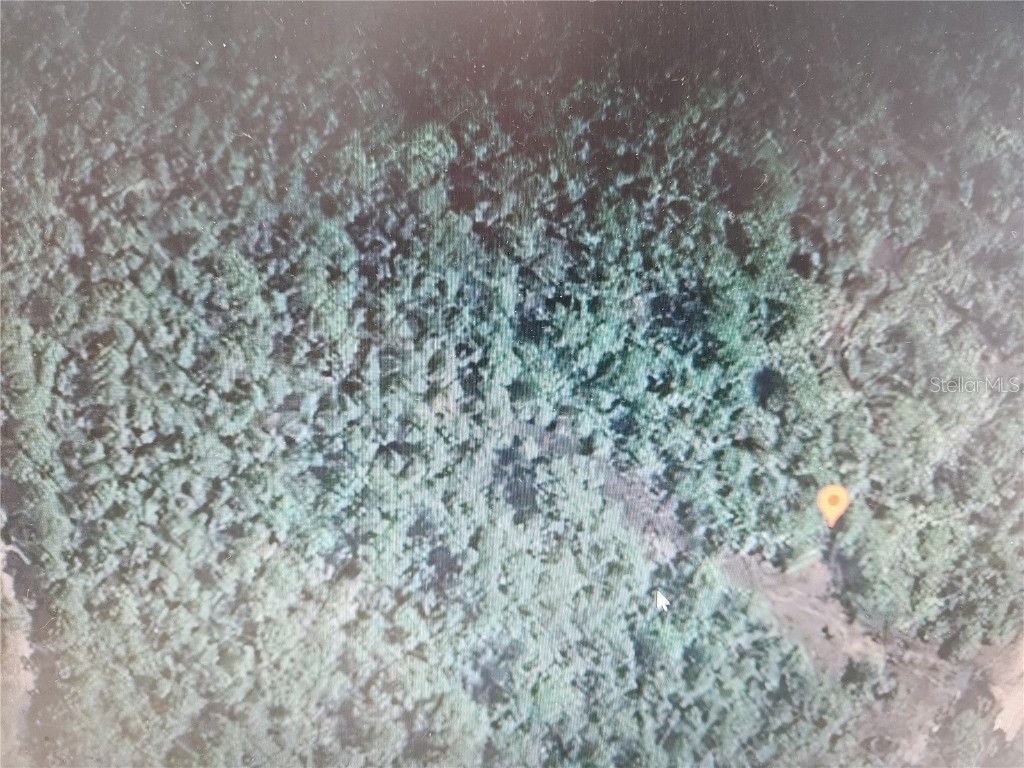 Holopaw Groves Road Saint Cloud FL 34771 S5129860 image1