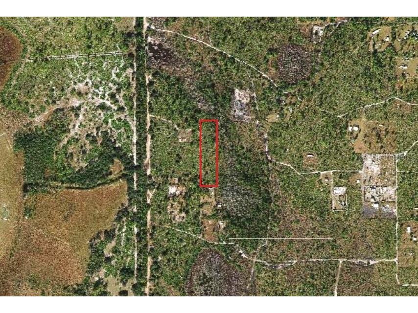 Holopaw Groves Road Saint Cloud FL 34771 S5134586 image1