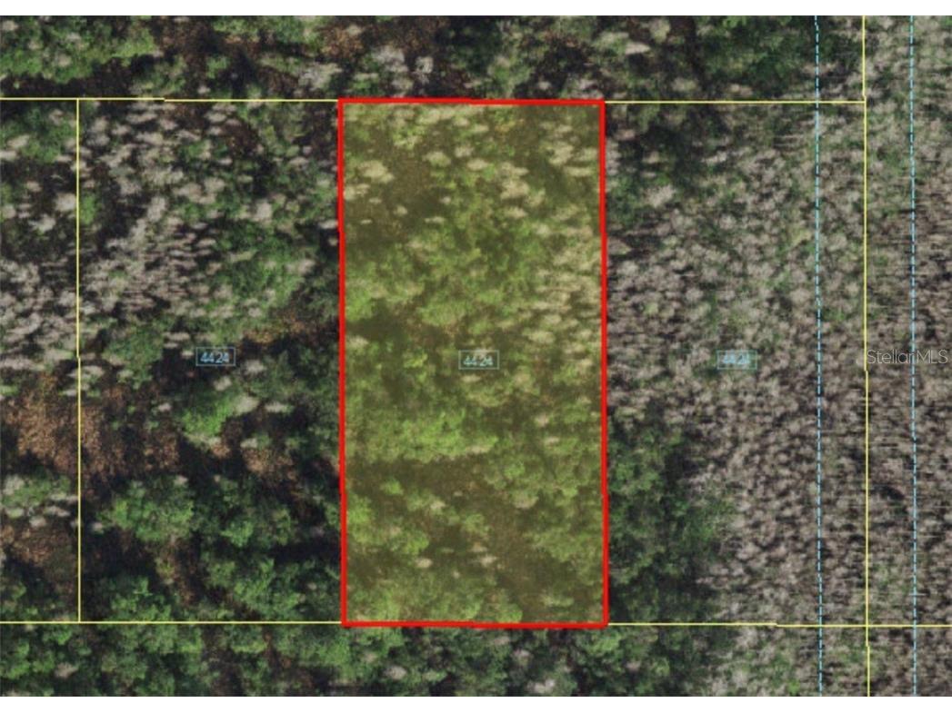 Holopaw Groves Road Saint Cloud FL 34773 A4481008 image2