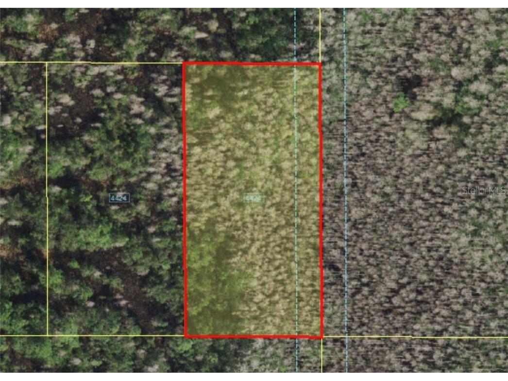 Holopaw Groves Road Saint Cloud FL 34773 A4481009 image2