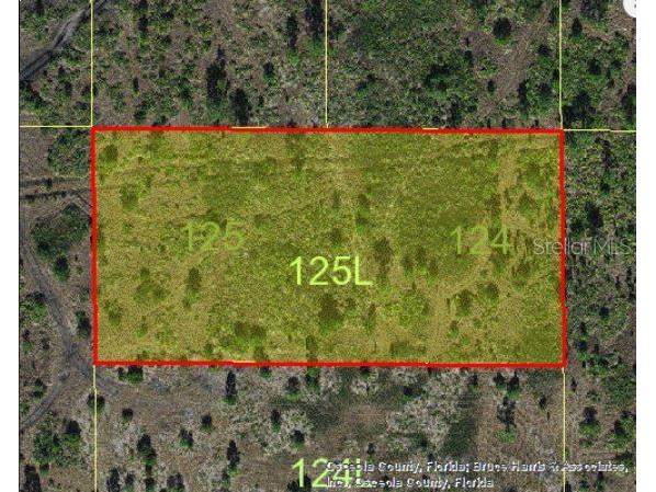 Holopaw Groves Road Saint Cloud FL 34773 O6235820 image3