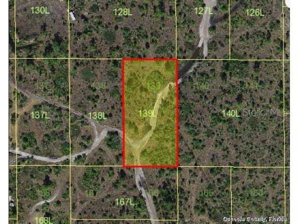 Holopaw Groves Road Saint Cloud FL 34773 O6235828 image3