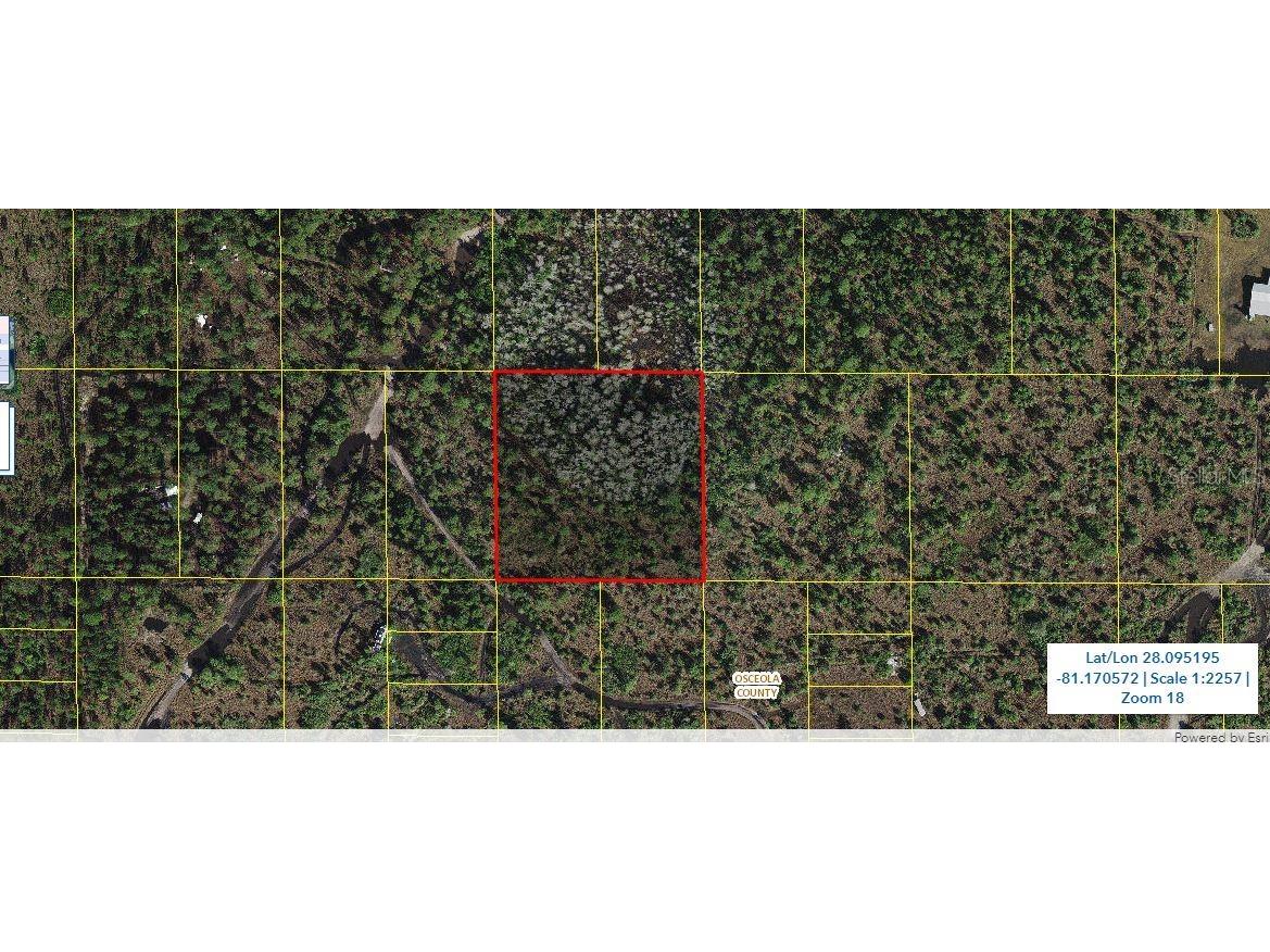 Holopaw Groves Road Saint Cloud FL 34773 O6240987 image1