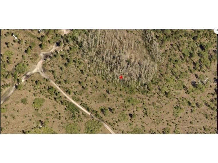 Holopaw Groves Road Saint Cloud FL 34773 O6240987 image2