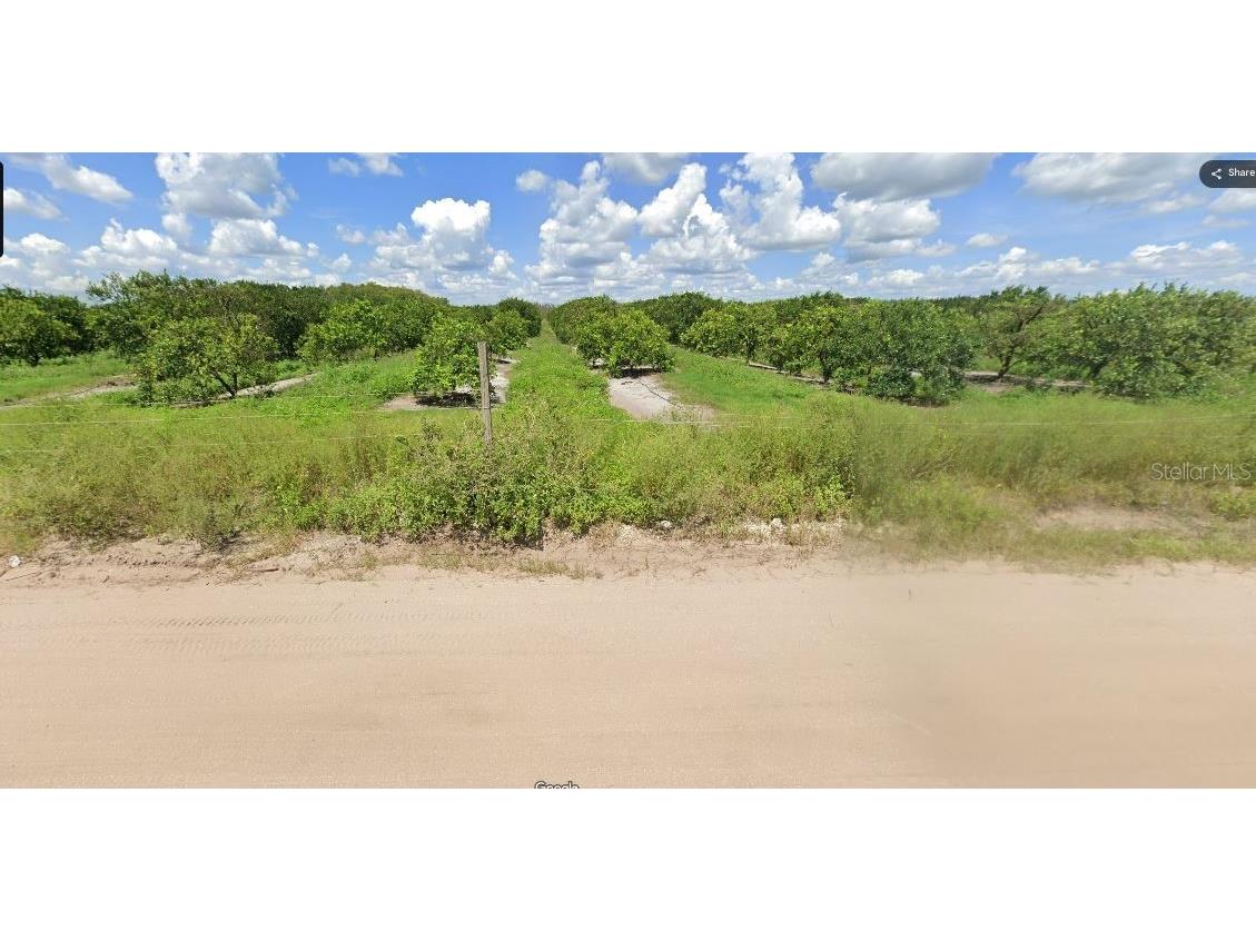 Holopaw Groves Road Saint Cloud FL 34773 O6240989 image2