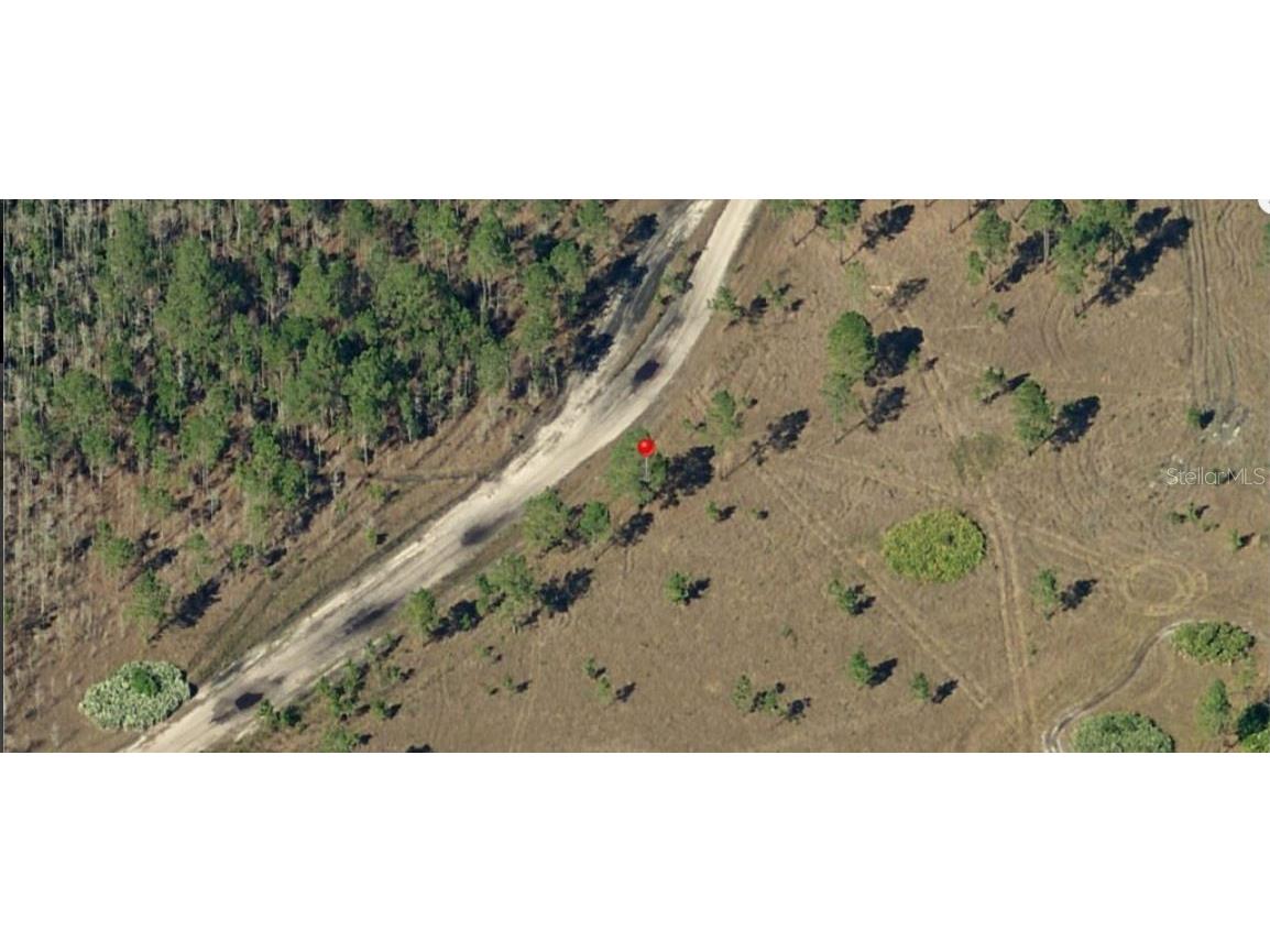 Holopaw Groves Road Saint Cloud FL 34773 O6241011 image4
