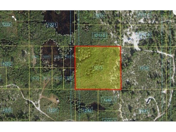 Holopaw Groves Road Saint Cloud FL 34773 O6241629 image6