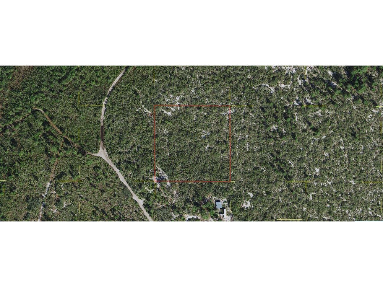 Holopaw Groves Road Saint Cloud FL 34773 O6241633 image1