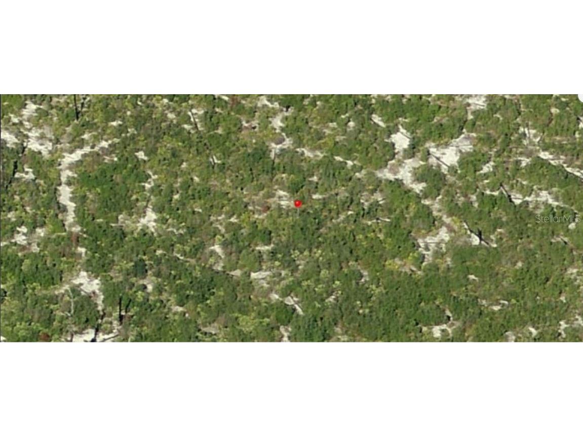 Holopaw Groves Road Saint Cloud FL 34773 O6241633 image3