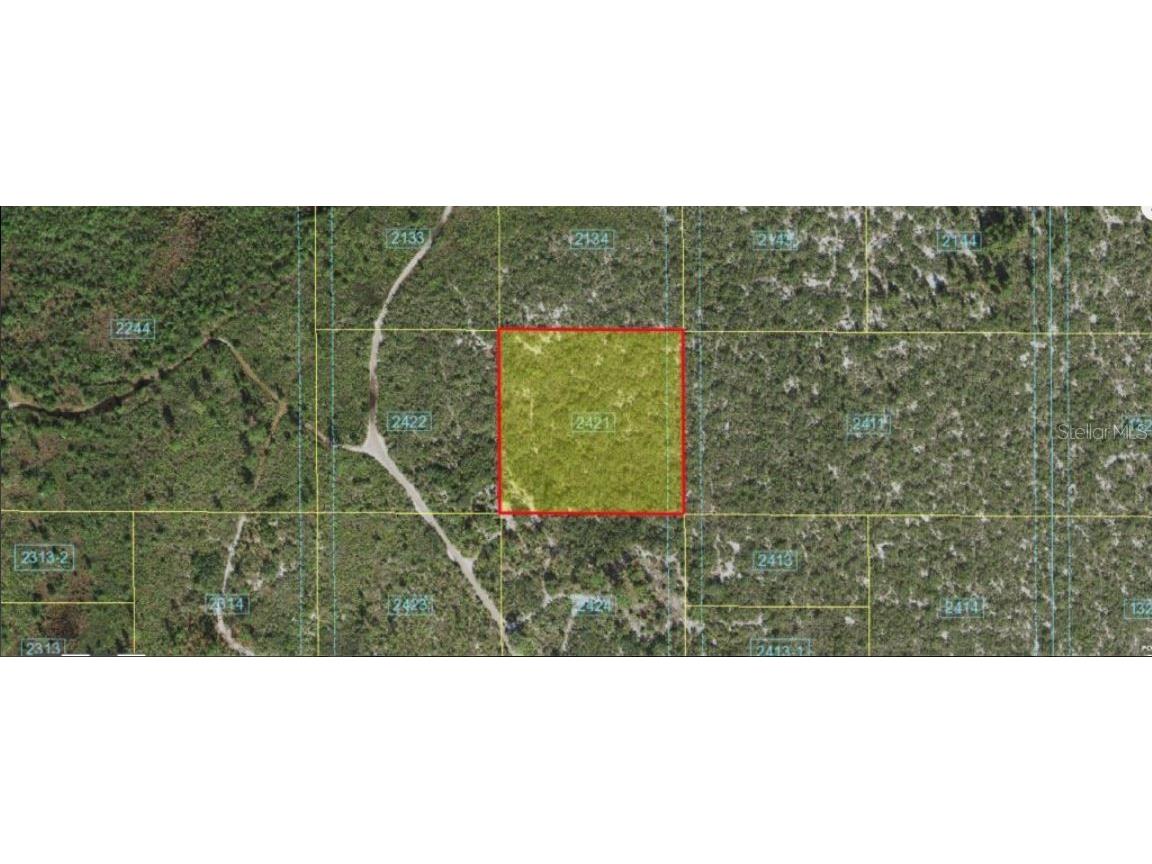 Holopaw Groves Road Saint Cloud FL 34773 O6241633 image4