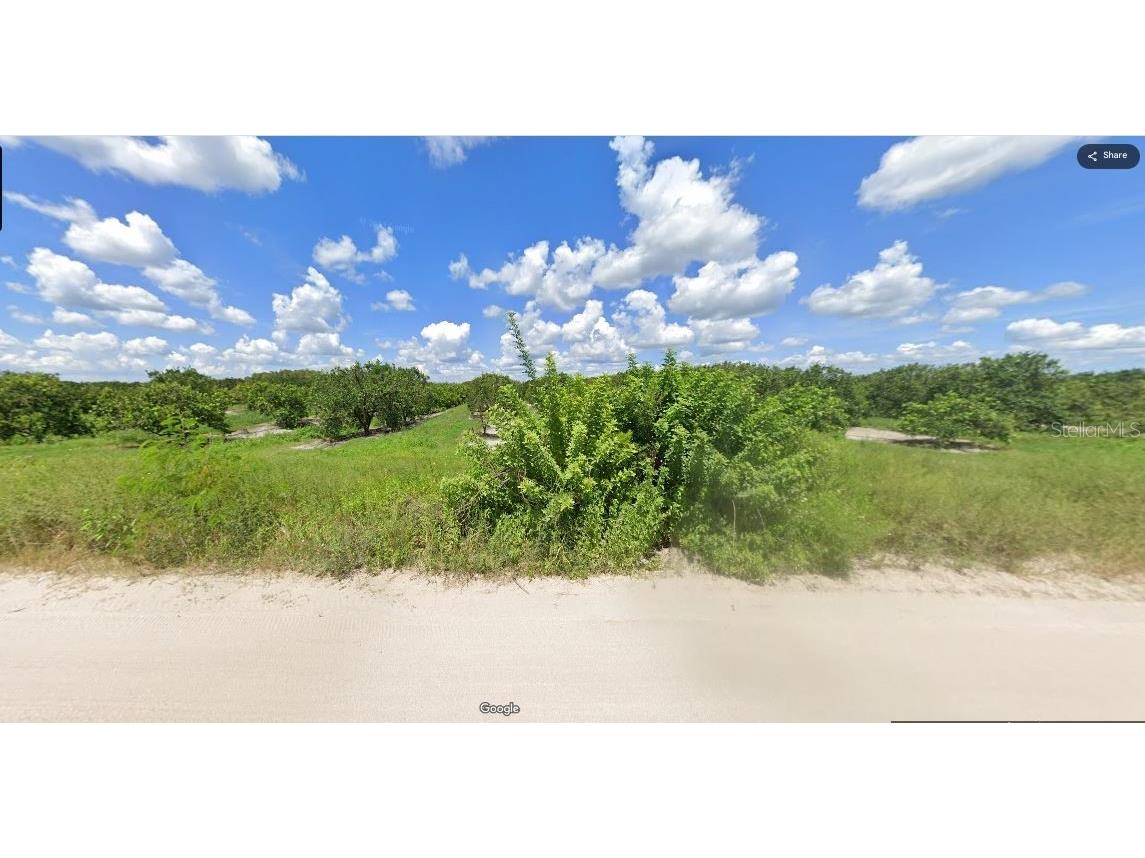 Holopaw Groves Road Saint Cloud FL 34773 O6241633 image5