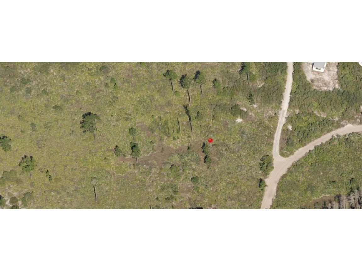 Holopaw Groves Road Saint Cloud FL 34773 O6241634 image3