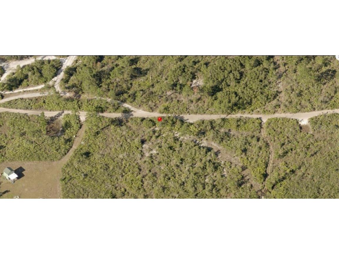 Holopaw Groves Road Saint Cloud FL 34773 O6241636 image3