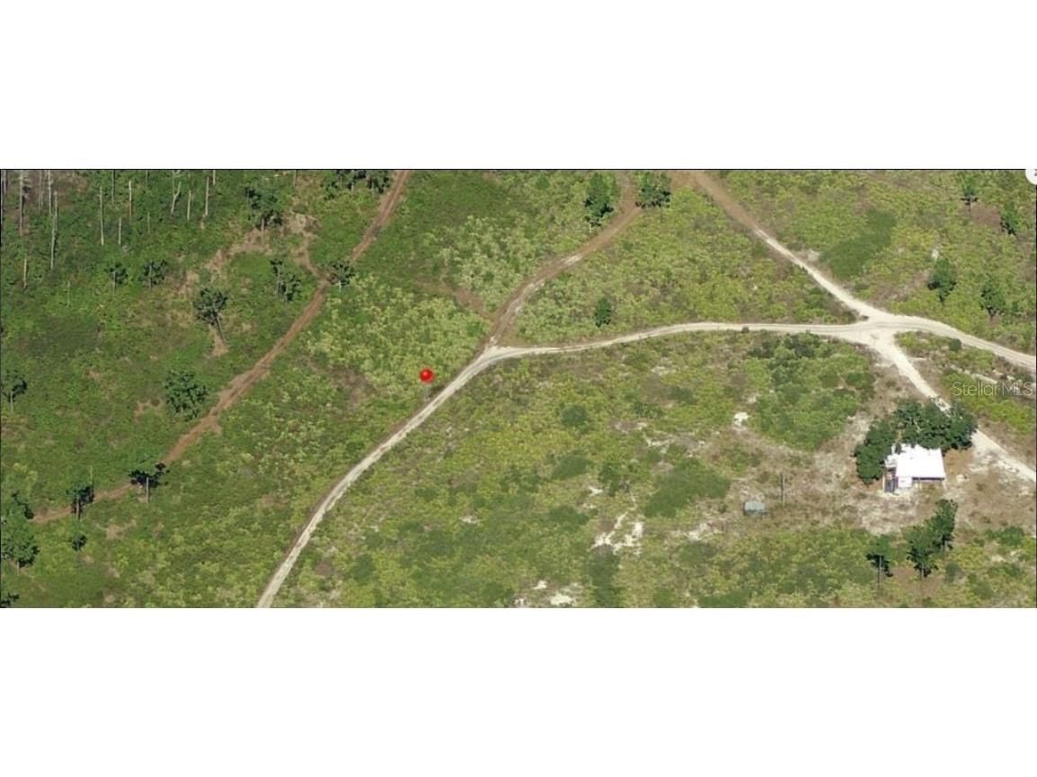 Holopaw Groves Road Saint Cloud FL 34773 O6241637 image3