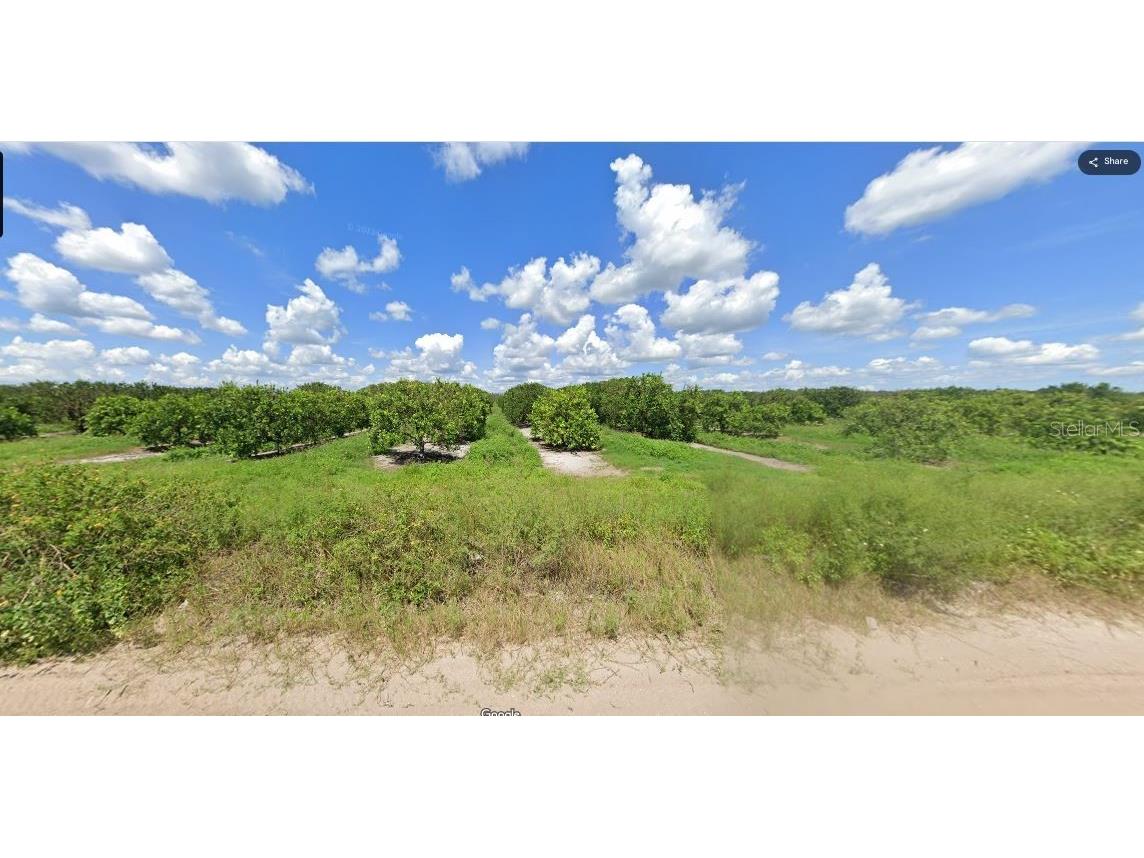 Holopaw Groves Road Saint Cloud FL 34773 O6241638 image3