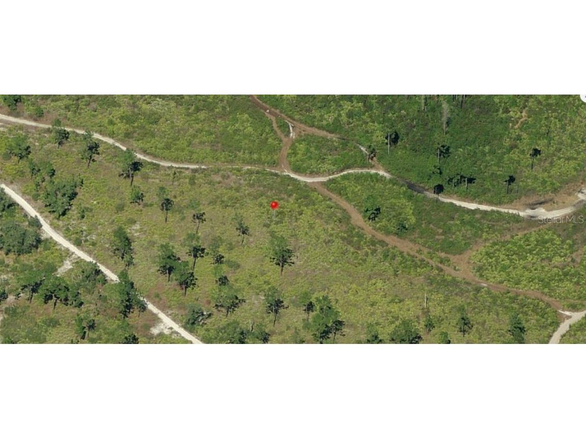 Holopaw Groves Road Saint Cloud FL 34773 O6241639 image3