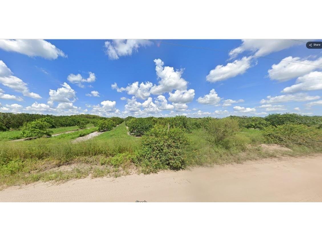 Holopaw Groves Road Saint Cloud FL 34773 O6241640 image3