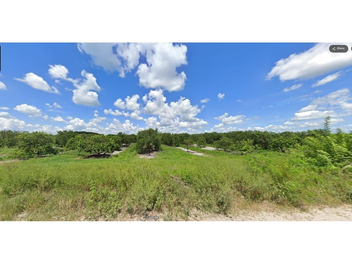 Holopaw Groves Road Saint Cloud FL 34773 O6241641 image4