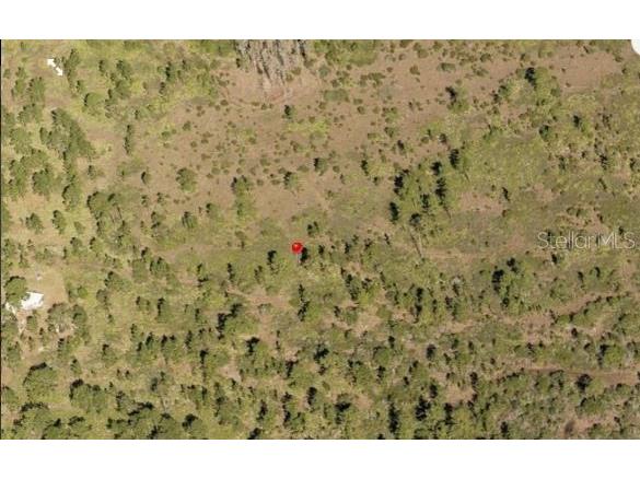 Holopaw Groves Road Saint Cloud FL 34773 O6241744 image2