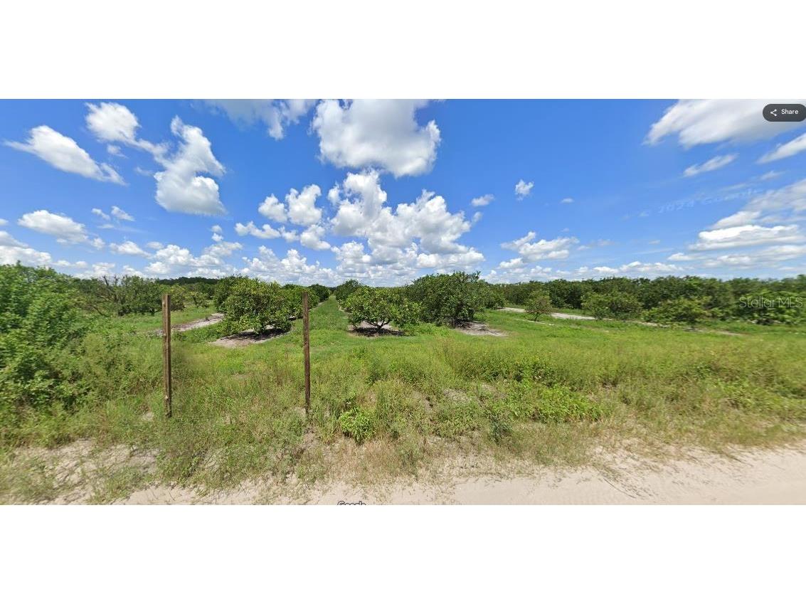 Holopaw Groves Road Saint Cloud FL 34773 O6241744 image6