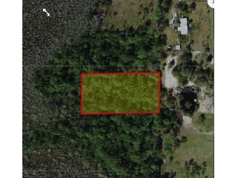 Holopaw Groves Road Saint Cloud FL 34773 O6241748 image2