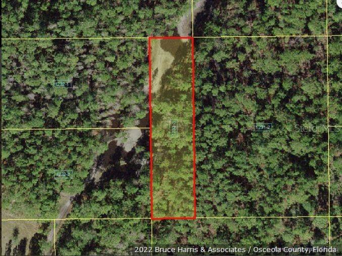 Holopaw Groves Road Saint Cloud FL 34773 O6241750 image2