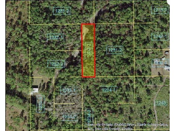 Holopaw Groves Road Saint Cloud FL 34773 O6241750 image4