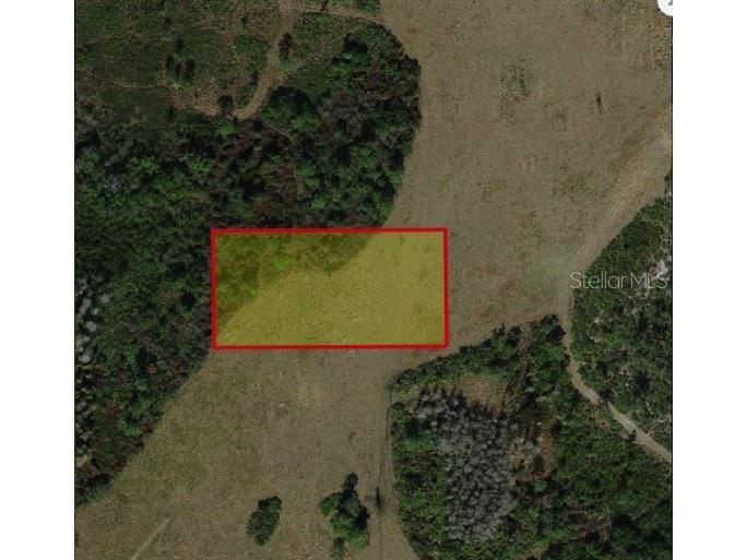 Holopaw Groves Road Saint Cloud FL 34773 O6241758 image3