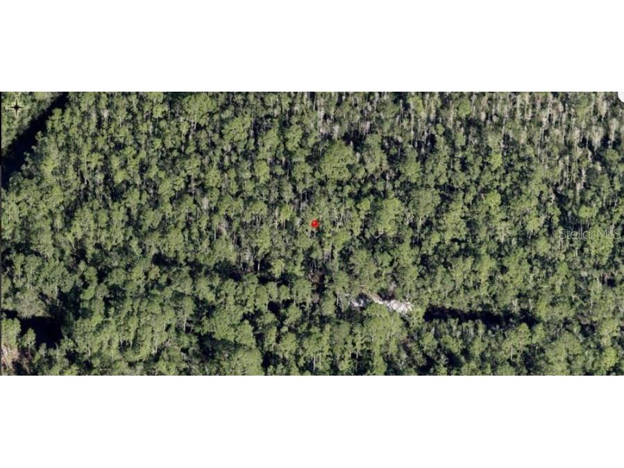 Holopaw Groves Road Saint Cloud FL 34773 O6241762 image2