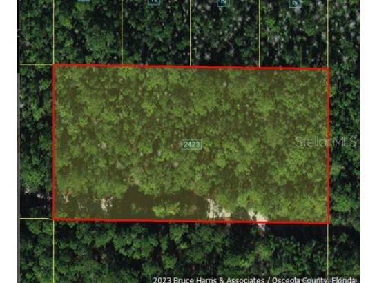 Holopaw Groves Road Saint Cloud FL 34773 O6241762 image3