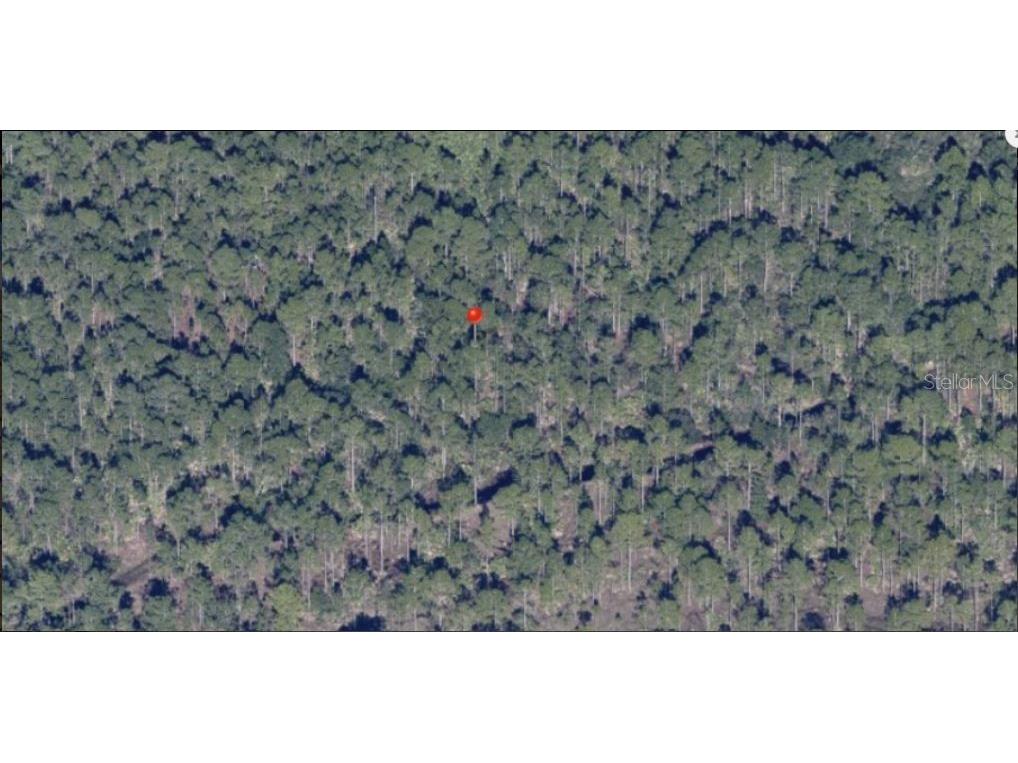 Holopaw Groves Road Saint Cloud FL 34773 O6241764 image2