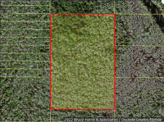 Holopaw Groves Road Saint Cloud FL 34773 O6241765 image2