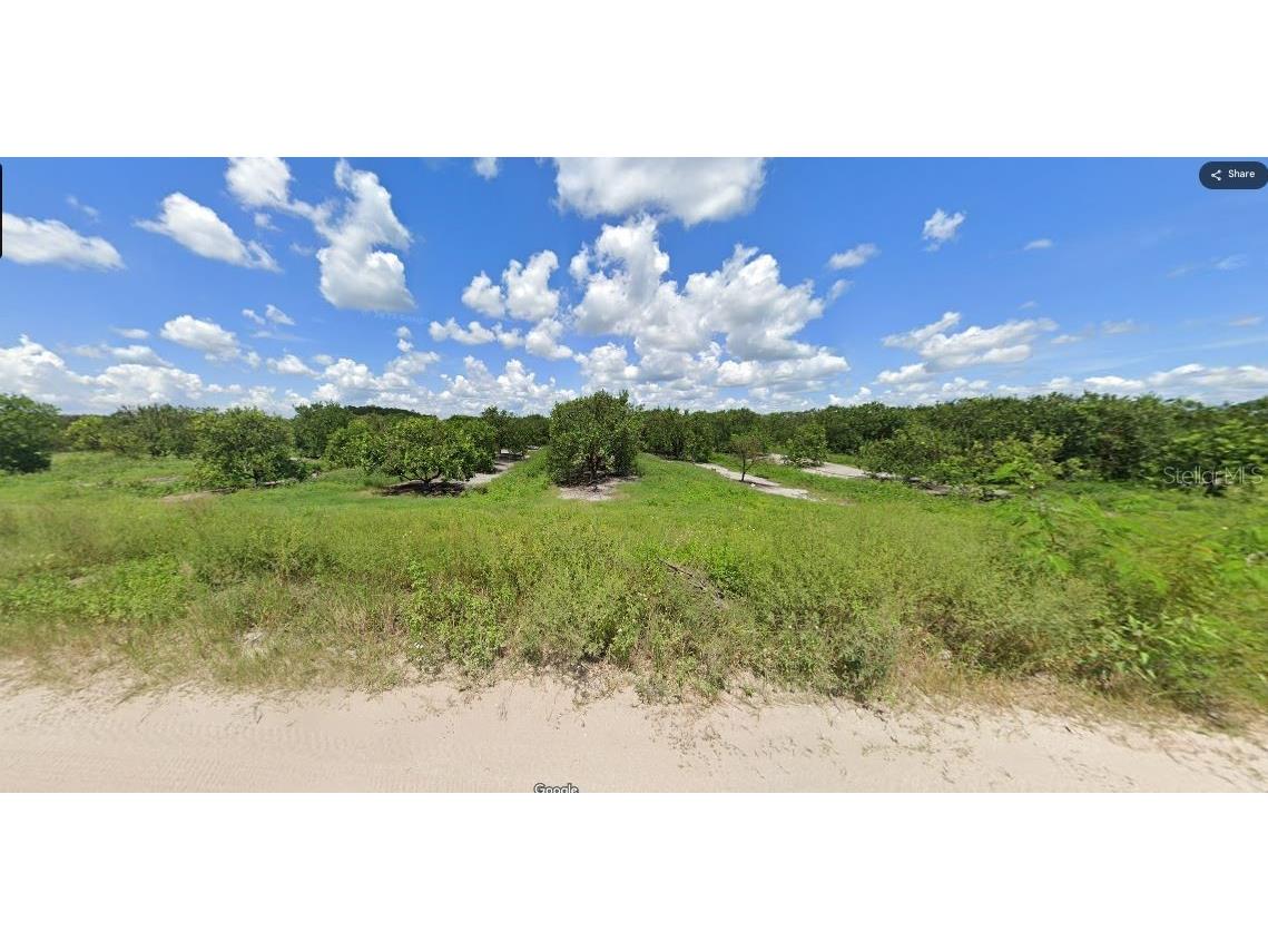 Holopaw Groves Road Saint Cloud FL 34773 O6241765 image5