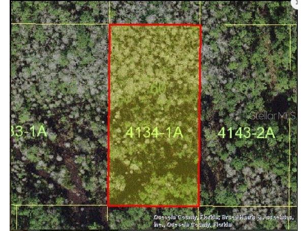 Holopaw Groves Road Saint Cloud FL 34773 O6241857 image2