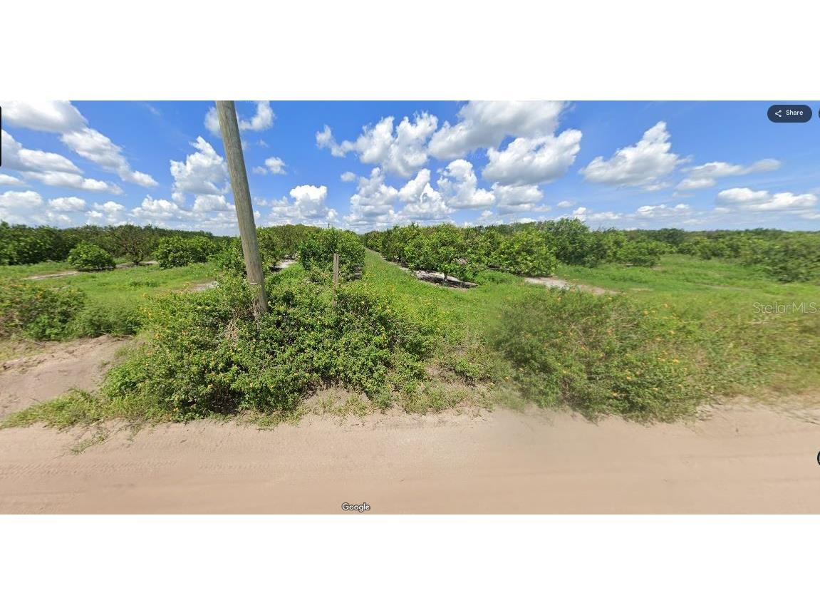 Holopaw Groves Road Saint Cloud FL 34773 O6241859 image7