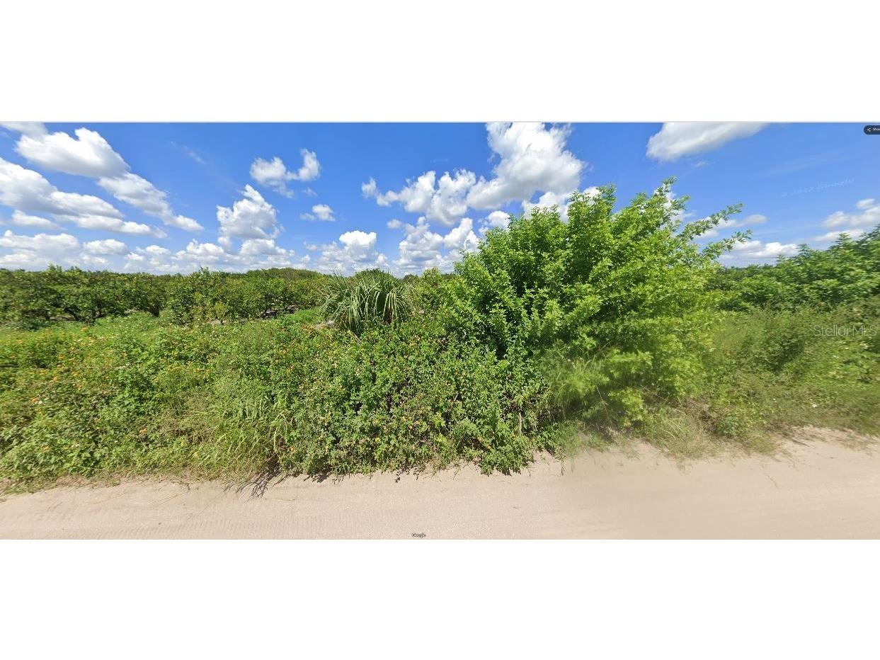 Holopaw Groves Road Saint Cloud FL 34773 O6241864 image3