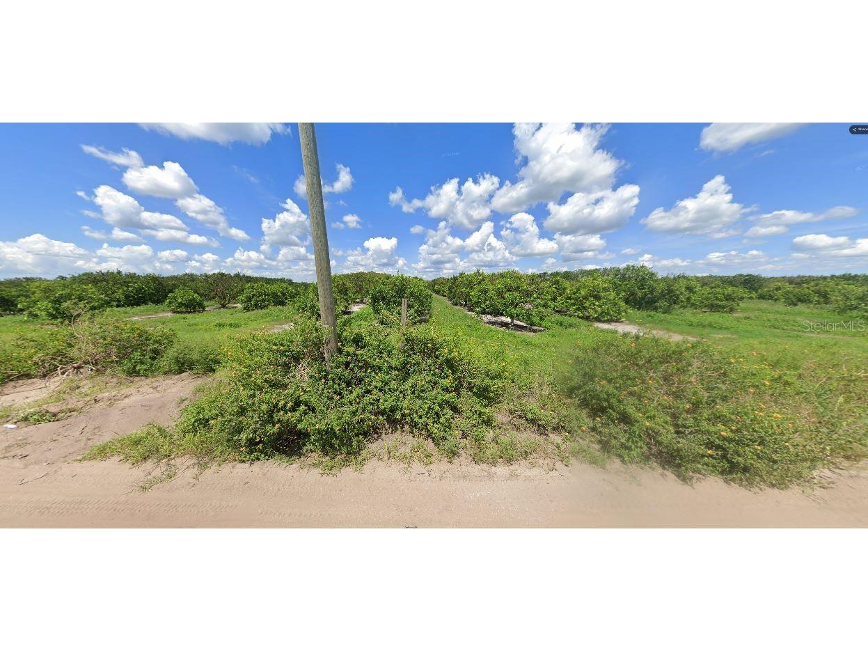 Holopaw Groves Road Saint Cloud FL 34773 O6241870 image3