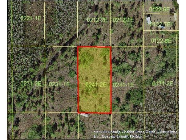 Holopaw Groves Road Saint Cloud FL 34773 O6241872 image3