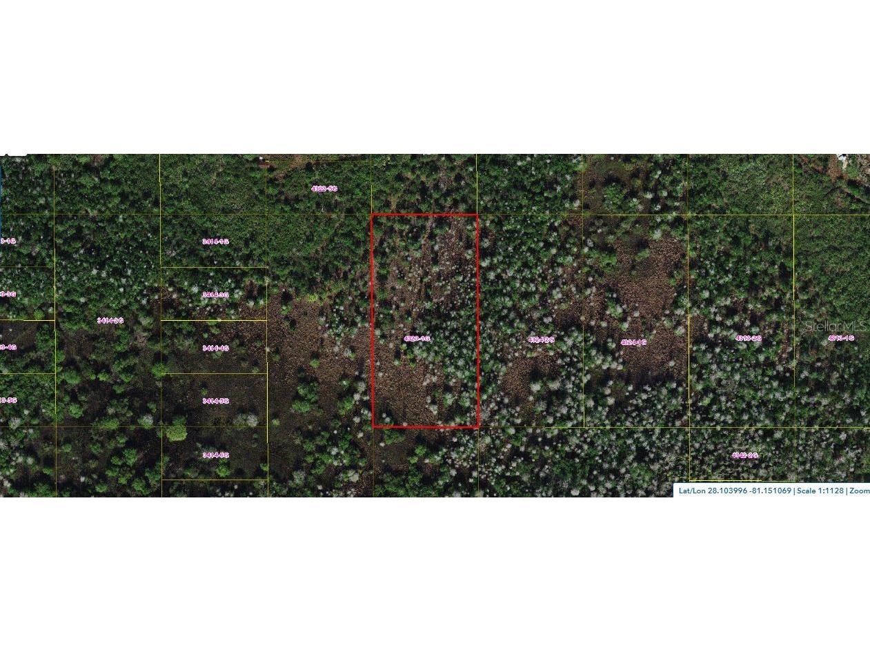 Holopaw Groves Road Saint Cloud FL 34773 O6248481 image1