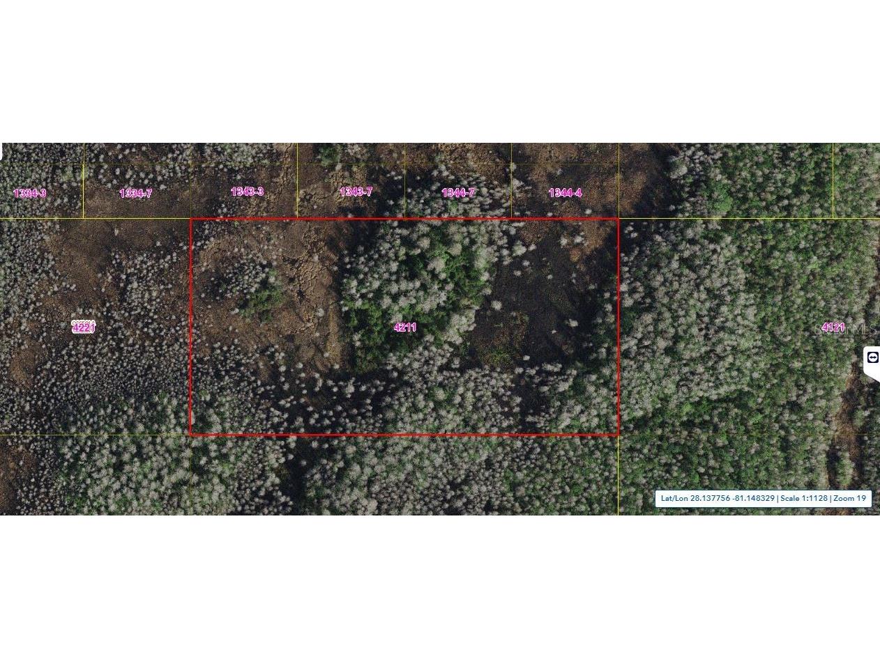 Holopaw Groves Road Saint Cloud FL 34773 O6248489 image1