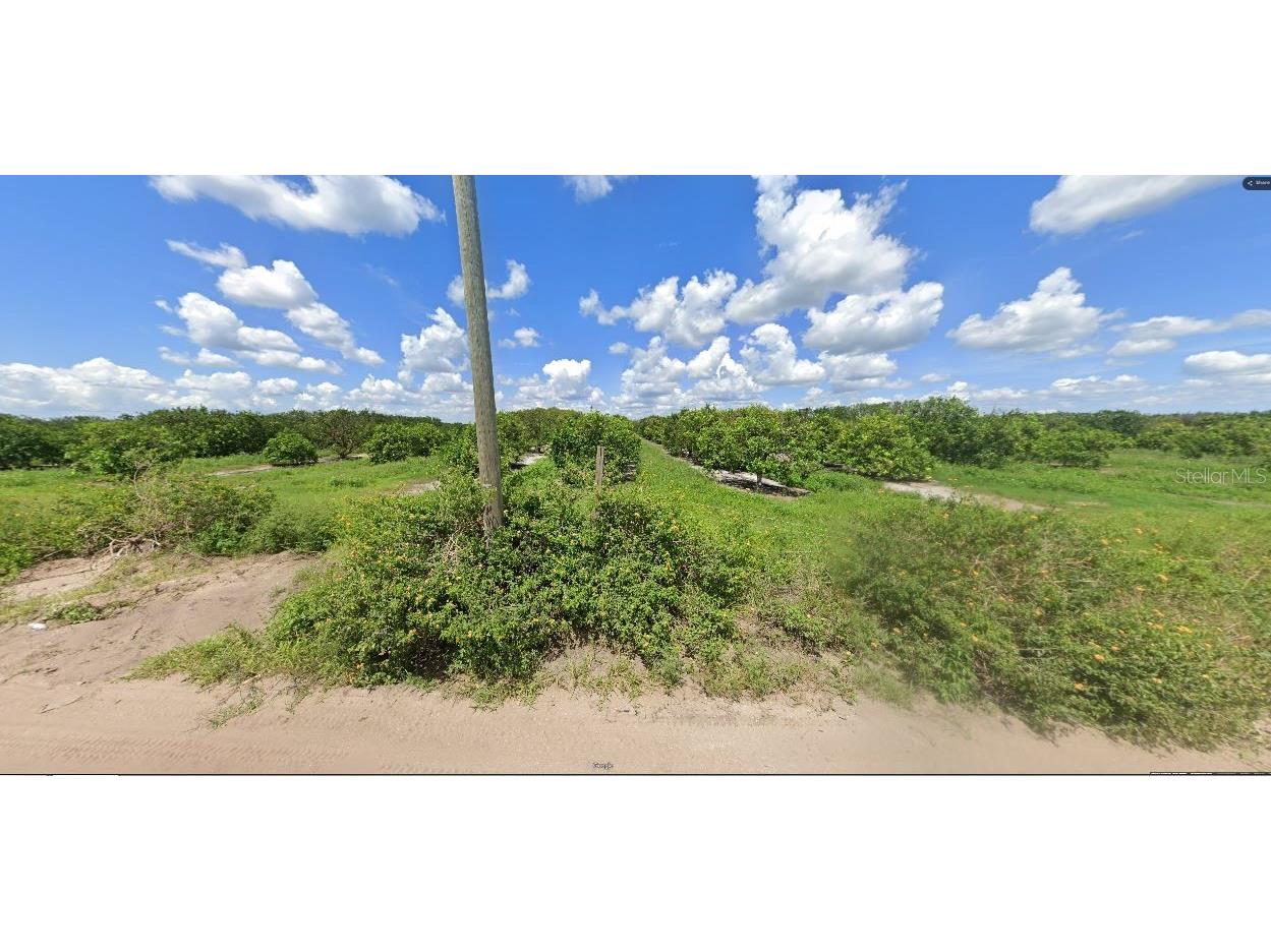 Holopaw Groves Road Saint Cloud FL 34773 O6248489 image3