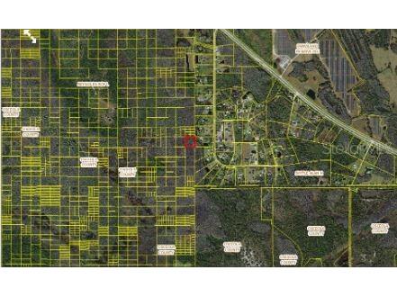 Holopaw Groves Road Saint Cloud FL 34773 O6312412 image2