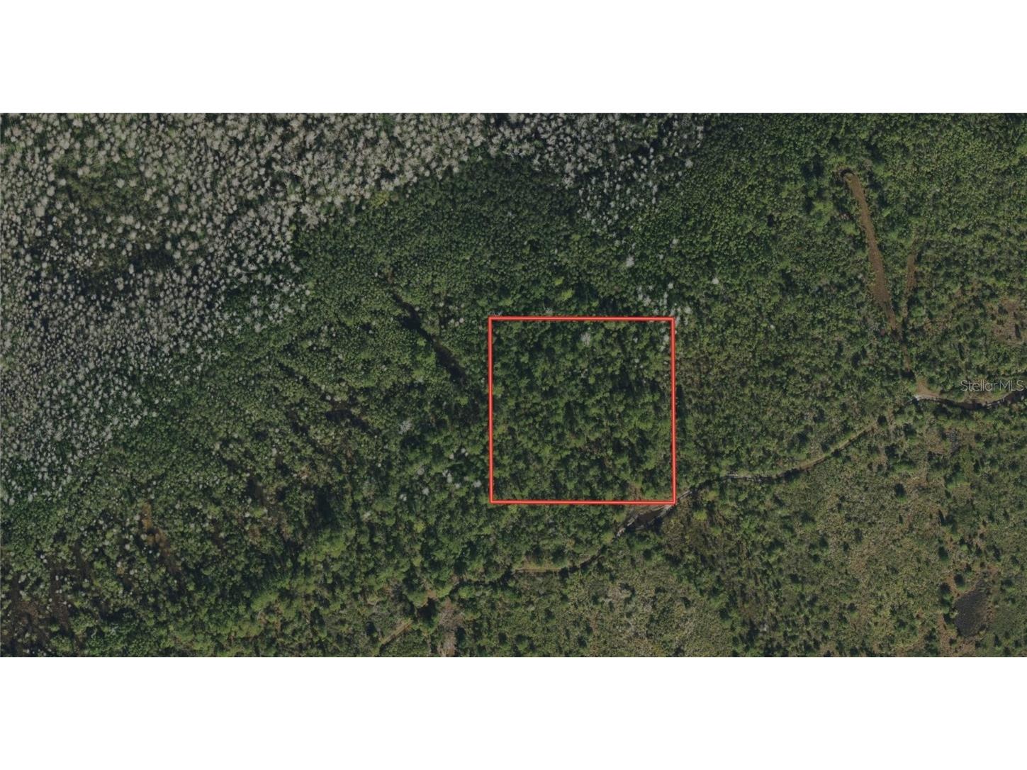 Holopaw Groves Road Saint Cloud FL 34773 TB8318323 image1
