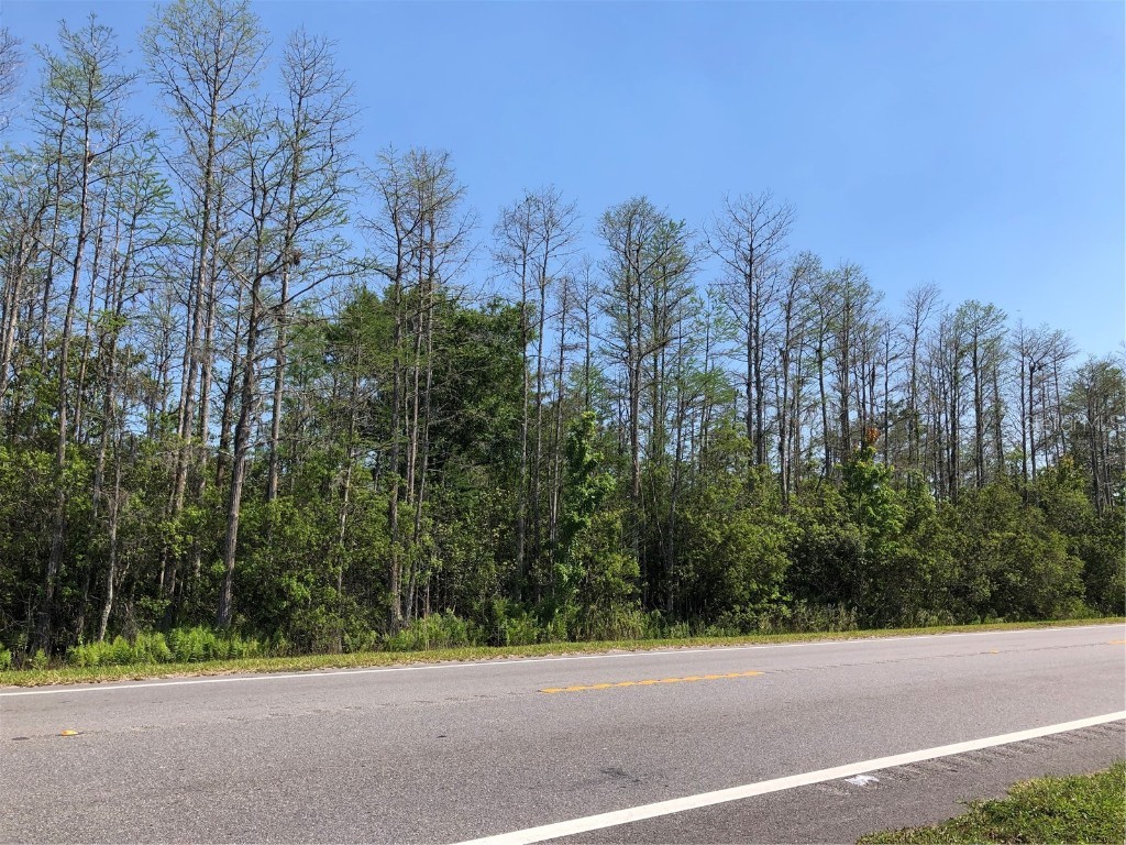 Holopaw Road Saint Cloud FL 34773 O6098314 image1