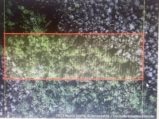 Holopaw Road Saint Cloud FL 34773 S5086364 image1