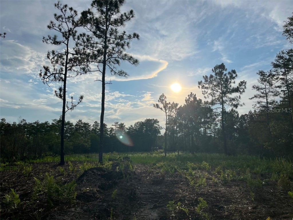 Holopaw Road Saint Cloud FL 34773 TB8304988 image1